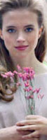 spring 2013
