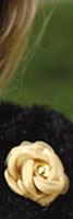 spring 2013